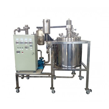10L中試氫化反應釜 10L中試氫化反應釜
